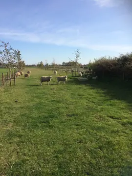 't Weeltje