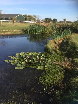 't Weeltje