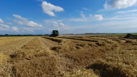 Aagtekerke