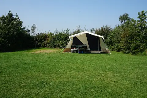 De Walnoot