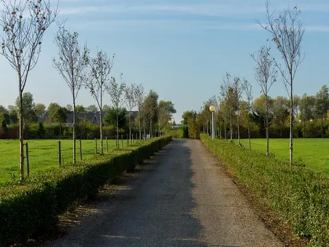 Hofstede Molenzicht