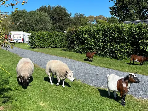 De Toekomst