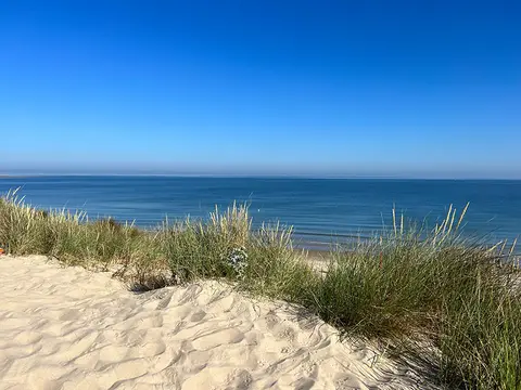 De Toekomst