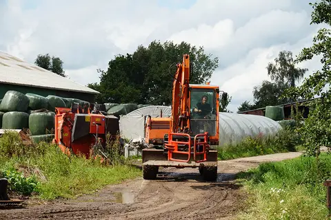 De Groene Geer