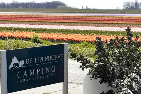 Camping De Iepenhoeve