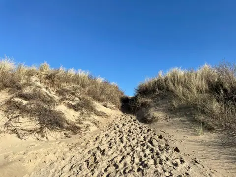 Midicamping van der Burgh
