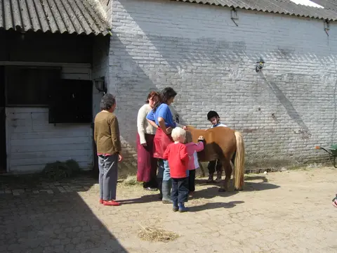 De Eendenkooi