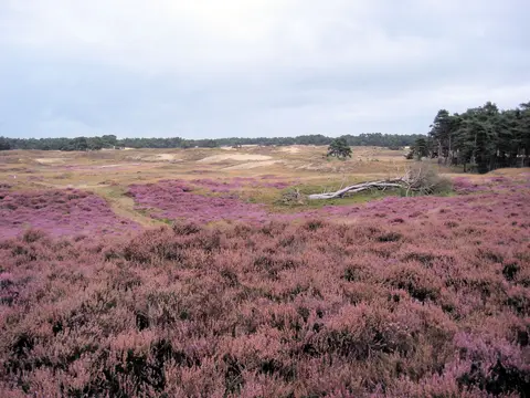 Camping 't Boerenerf
