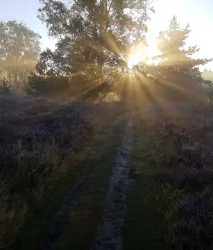 Camping 't Boerenerf