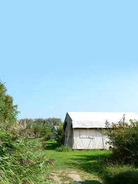 Anemoonè