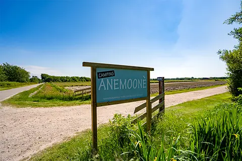 Anemoonè