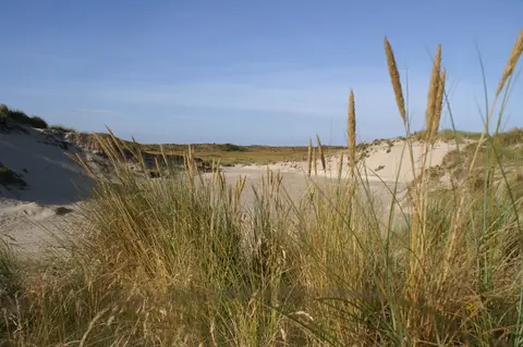 Camping de Ruige Hoogte