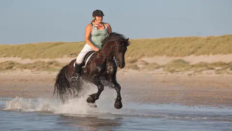 Camping de Ruige Hoogte