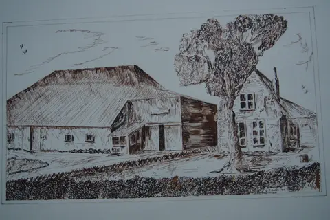 Cornelis-Pieter Hoeve