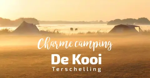 De Kooi