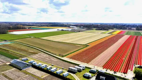 Camperplaats De Guldenroede