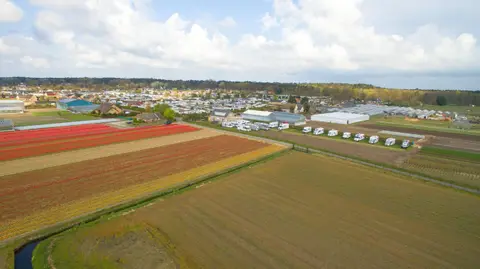 Camperplaats De Guldenroede