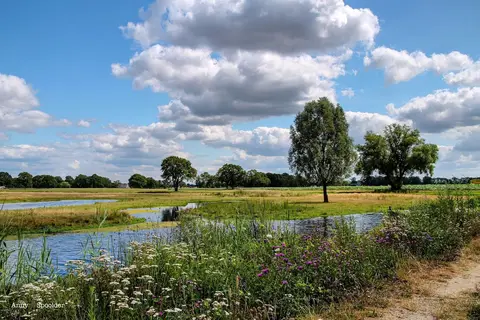 Minicamping Erve Henderiks Hoeve