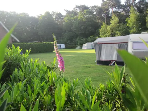 Minicamping Erve Henderiks Hoeve