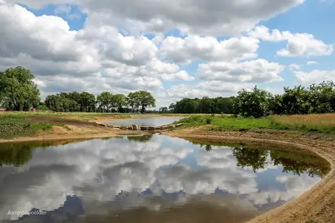 Minicamping Erve Henderiks Hoeve