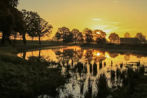Minicamping Erve Henderiks Hoeve
