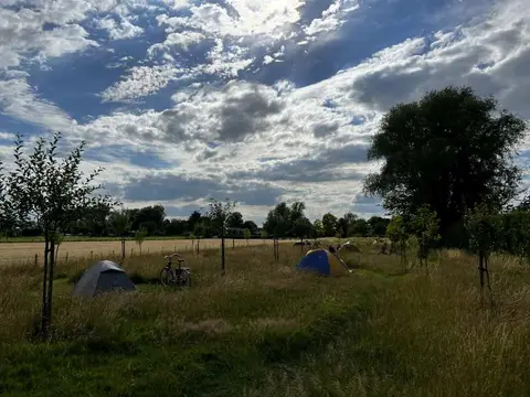 Het Wielseveld