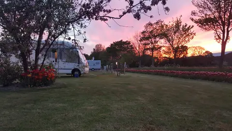 Camperplaats de Tulpentuin