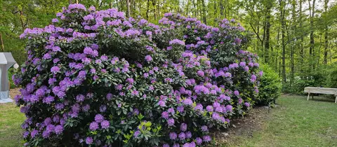 Landgoed de Wildert
