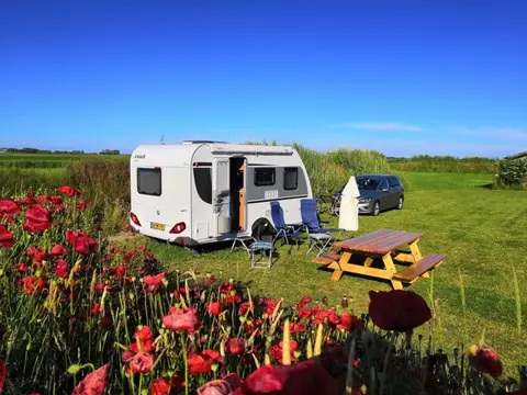 Boerencamping Polderzicht