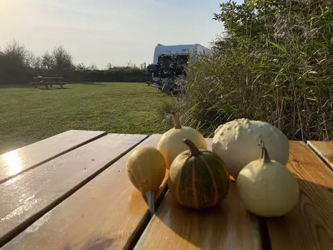 Boerencamping Polderzicht