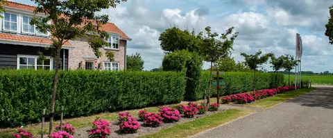 Hof van Renesse