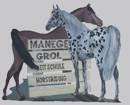Minicamping Manege Grol