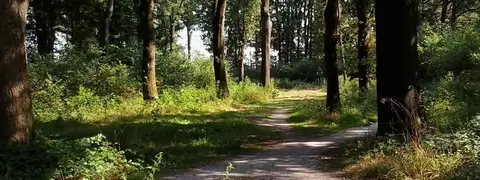 De Rozenhof
