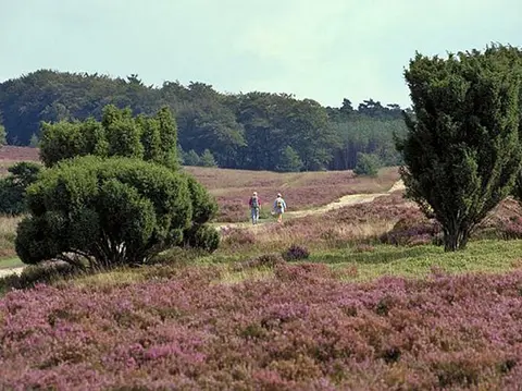 Bij Boer Jos