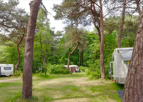 Camping Zonnehoek