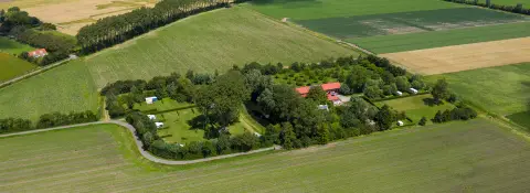 De Vijver