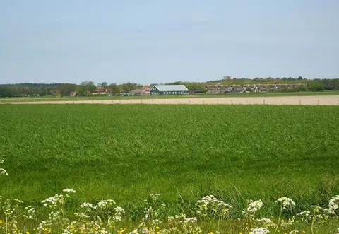 De Vrolijke Zwaluw