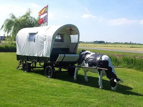 Botsholland