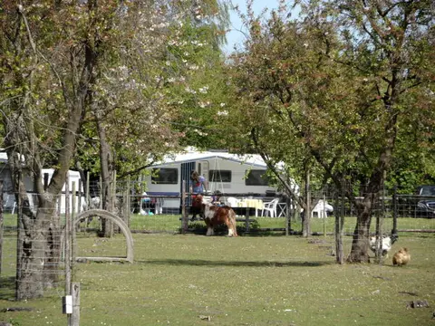 Oranjehof