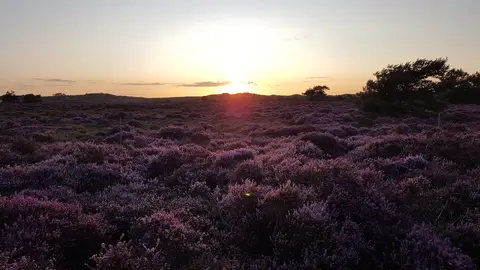 Kampeerterrein Buitenduin