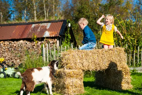 Boerderij de Omleiding