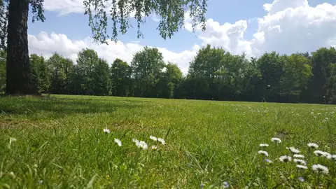 Kerkemeijer