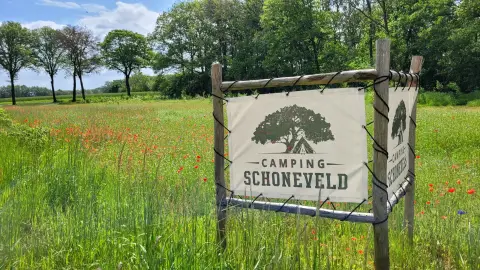 Schoneveld