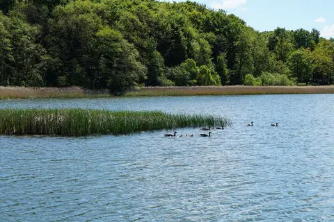 Wohnmobilpark am See Neukloster