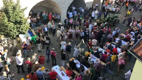 Wohnmobilstellplatz Dettelbach An der Mainlände