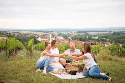 Wohnmobilstellplatz Dettelbach An der Mainlände