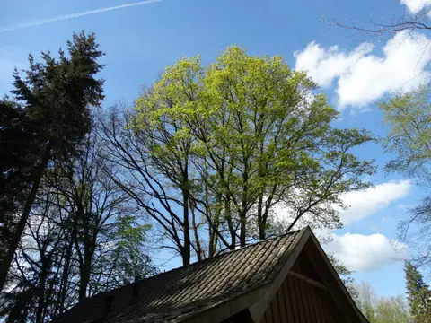 Hessenoord
