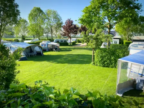 De Rijnstrangen