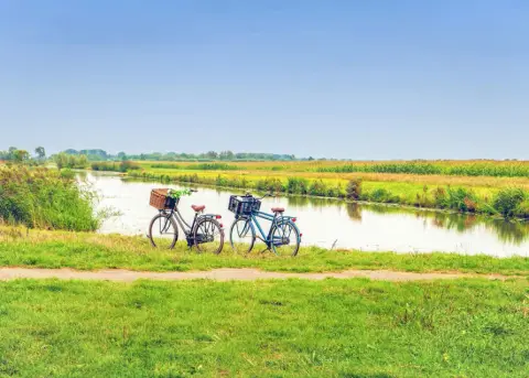 De Rijnstrangen