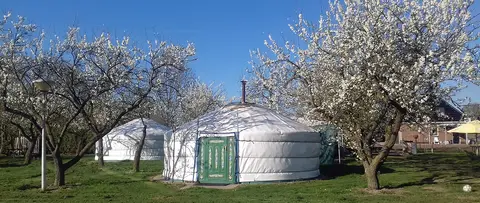Mongoolse Camping QKLQ